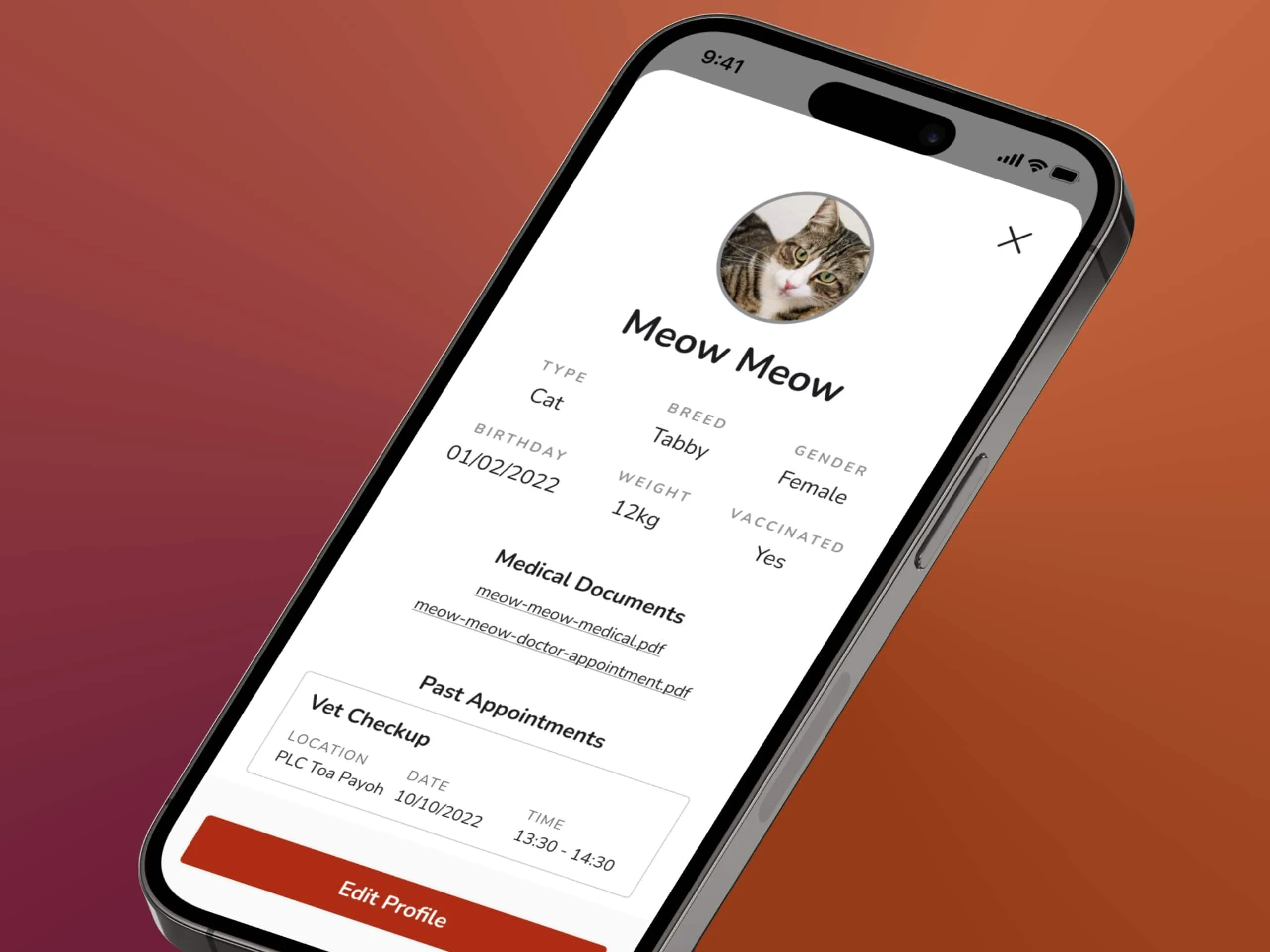 Pet profile for Meow Meow showing type, breed, birthday, weight, vaccination status, medical documents, and past appointments